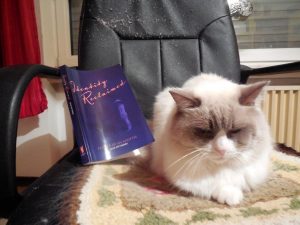 A cat sits contentedly in the sun with a copy of 'Identity Reclaimed' behind, on the seat of an armchair.