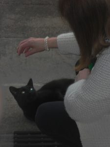 Photo of Julie, with black cat TomTom looking up at her.